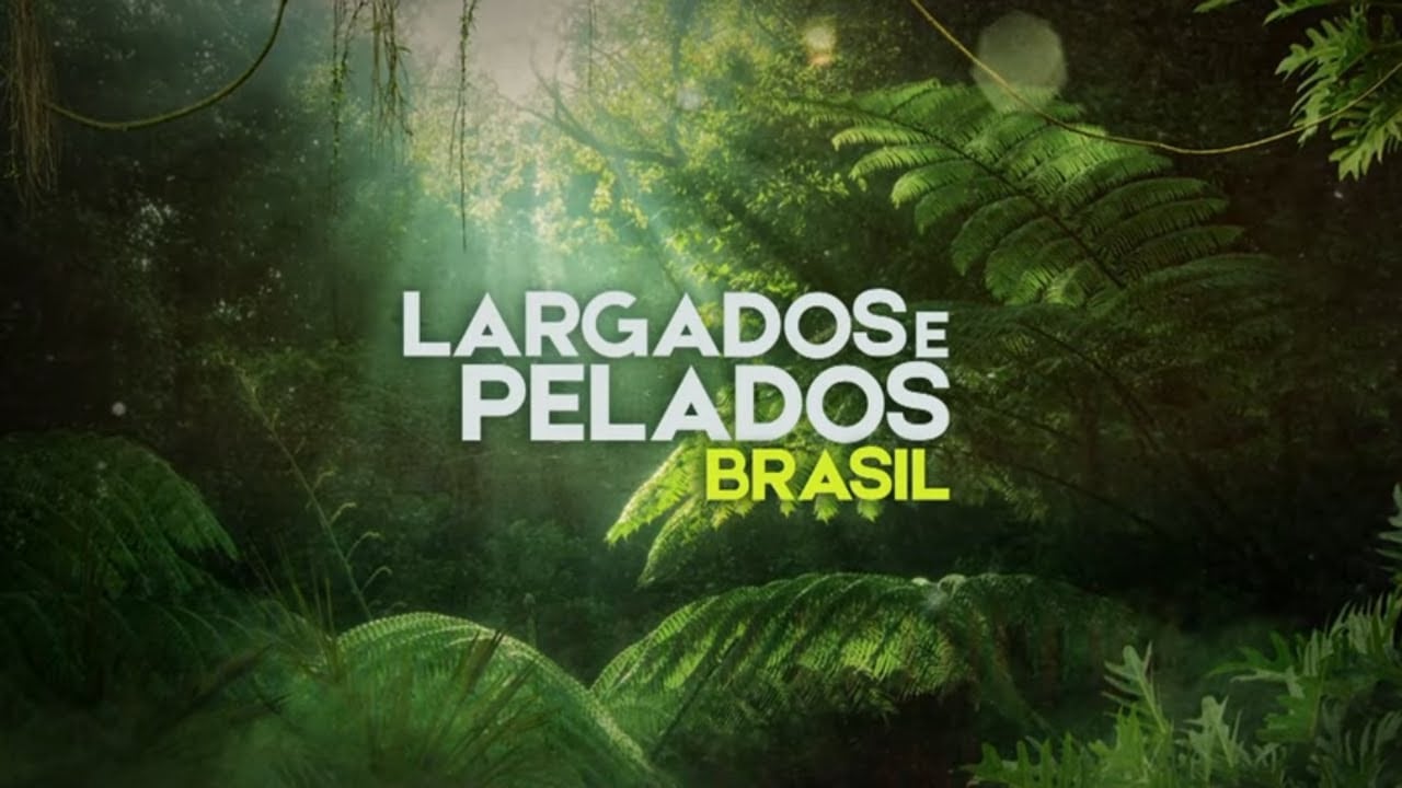 22 estreias na HBO Max e Paramount+ para você assistir neste fim de semana, 17 e 18 de outubro Largados e Pelados Brasil é uma das séries em alta na Max