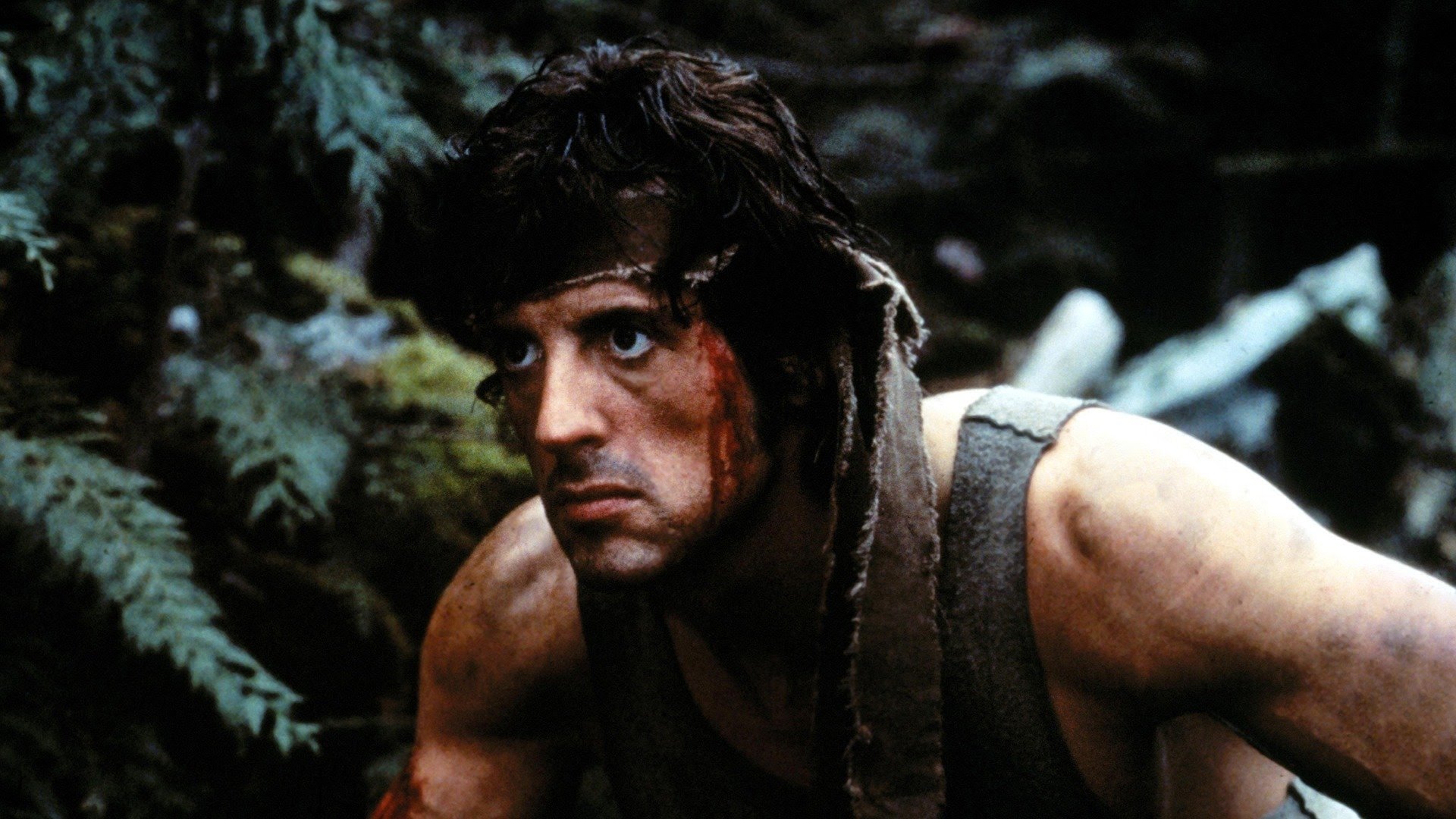 Rambo é um dos filmes parecidos com Rebel Ridge para você assistir