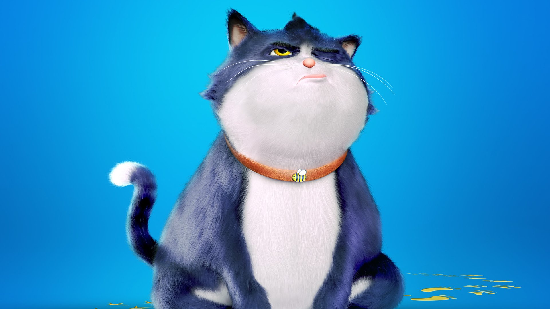 Um Gato de Sorte filme