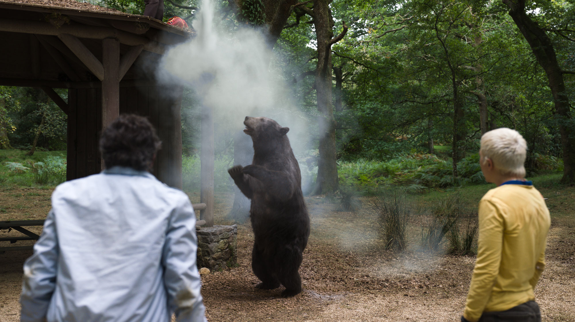 O Urso do Pó Branco