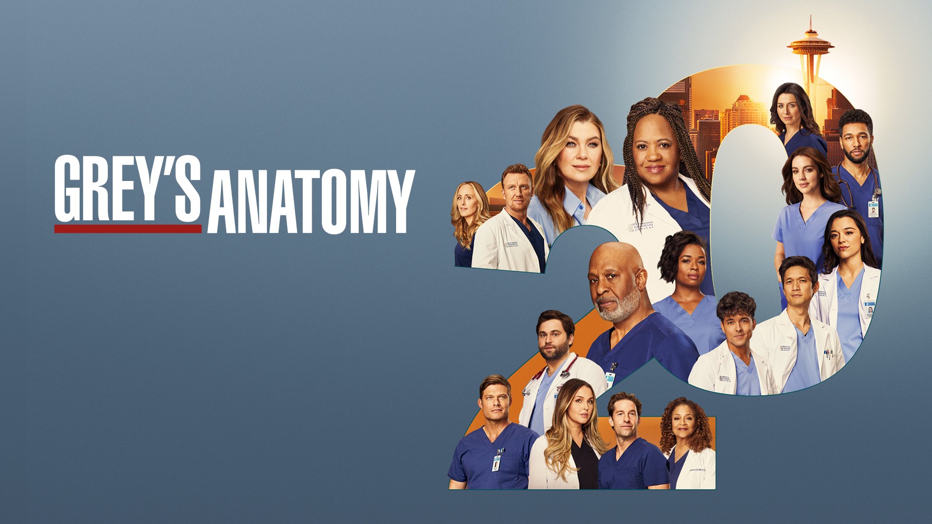 Grey's Anatomy 20ª temporada