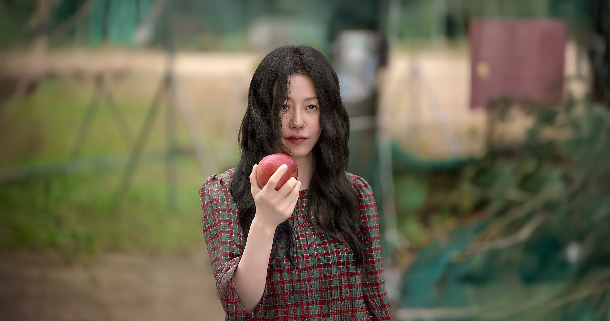 15 estreias na Netflix para assistir neste fim de semana, 06 e 07 de setembro Todos os crimes da Louva-a-Deus
