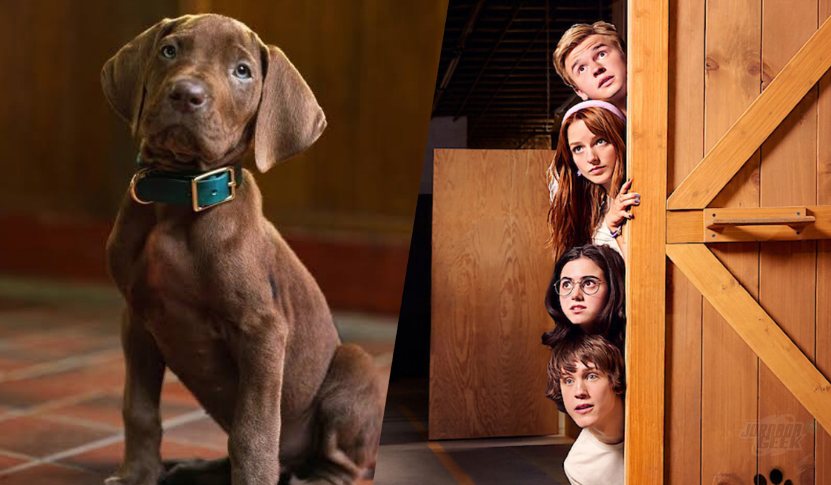 Scooby-Doo: A Origem | Netflix anuncia fim das filmagens Scooby-Doo: A Origem - filmagens são finalizadas pela Netflix