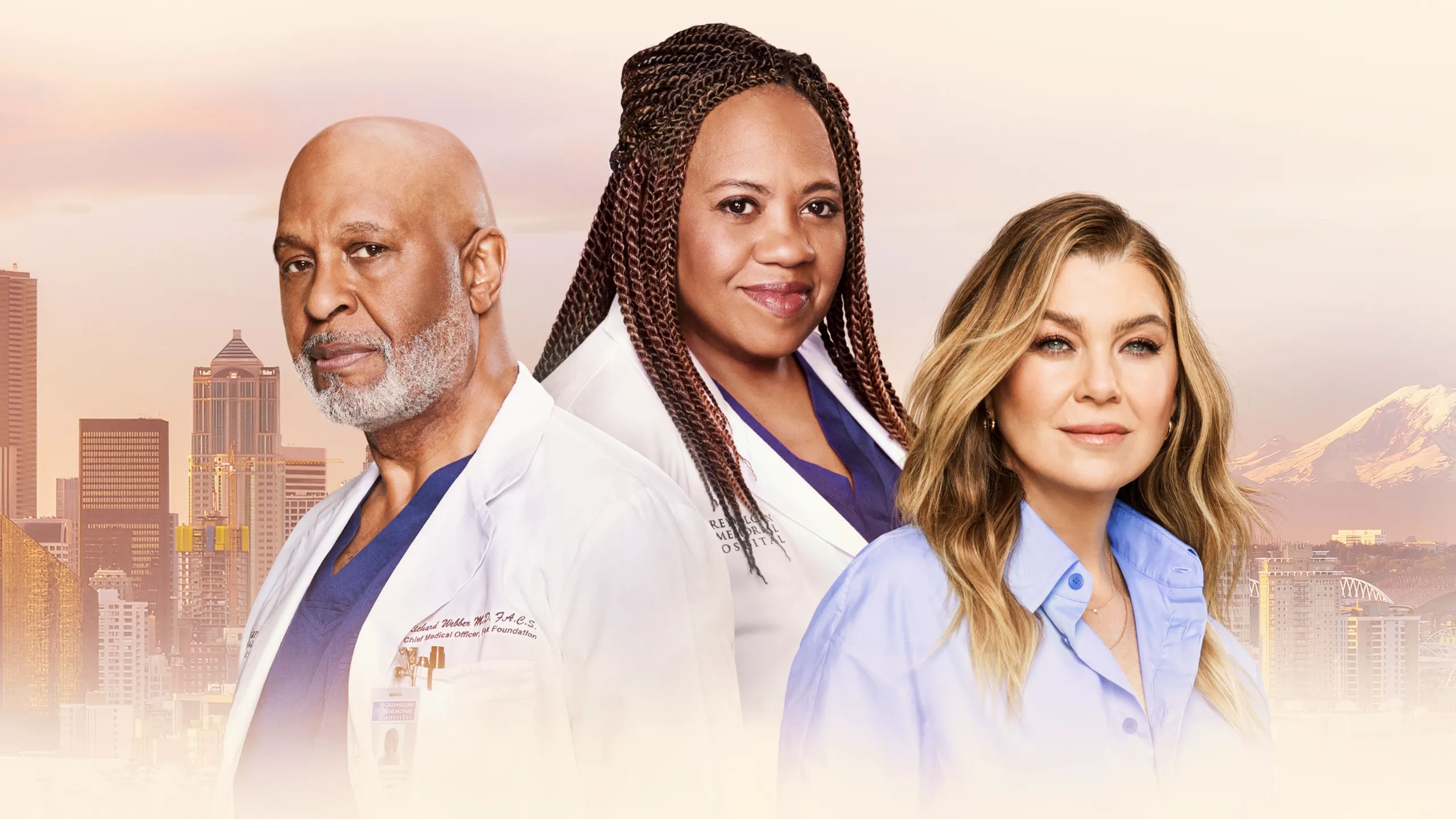 Disney+: A lista com as principais estreias em outubro de 2026 Greys anatomy 22 temporada